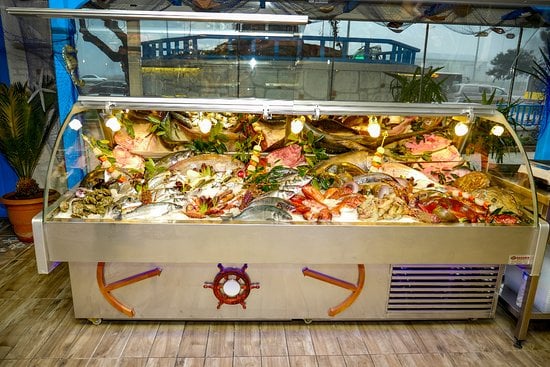 Balık Dolabı Servisi